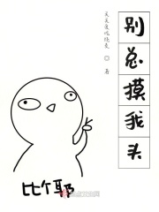 别总摸我头
