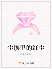 尘埃里的红尘